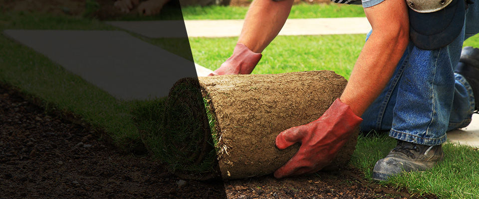 Factoryville Landscapers